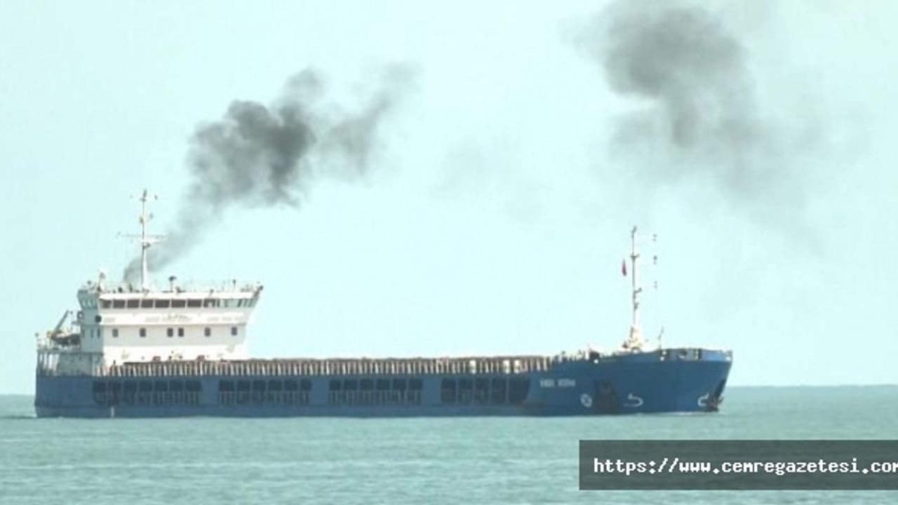 Ukrayna, Türkiye limanına yanaşan Rusya bandıralı tahıl yüklü gemiye el konulmasını istedi