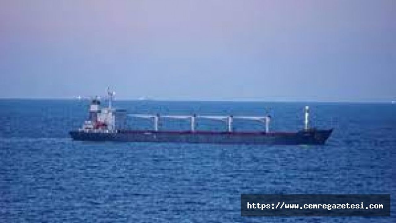 Ukrayna'dan yola çıkan tahıl gemisi İstanbul Boğazı'na ulaştı