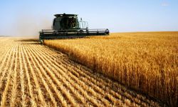 TÜİK: Tarımsal Girdi Fiyatlarında Yıllık Artış Yüzde 40,11