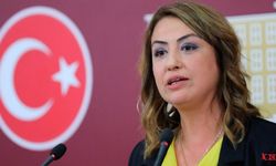 CHP Milletvekili Kara: STÖ'ler Su Kuruluna Dahil Değil!