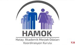 HAMOK’tan Hatay Milletvekili  Atalay’ın Vekilliğine  Düşürülmesine Tepki