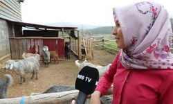Muğla Büyükşehir Belediyesi’nin “Kıl Keçisi” projesiyle kadın üreticiler kazanıyor 
