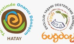 Buğday Derneği: Hatay İçin Birlikte…