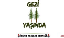 İHD : Gezi Demokratik Bir Eylemdi!