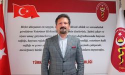 “Türk Veteriner Hekimleri Birliği Uyarıyor, Çözüm Zor Değil!”