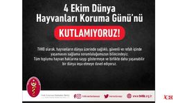 “Hayvan Haklarının Korunması Tüm Kesimlerin Ortak Sorumluluğudur”