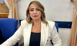 CHP'li Kara: Samandağ  Çöğürlü 20 Yıldır  Maden Ocağının Pençesinde