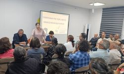 Meral Danış Beştaş: Barış İçin Hepimize Büyük Görevler Düşüyor