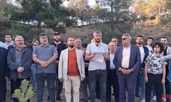 Serinyol'da TOKİ Projesi İçin Ağaç Kesildi, Halk Durumu Protesto Etti