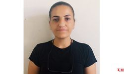 Gazeteci-Yazar Neslihan Sağaltıcı Yazdı... Amaç Bağcıyı Dövmek Mi, Üzüm Yemek Mi?