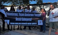 İHD: Antakya'daki Orman Yangınına Müdahale Gecikti, Kamusal Sorumluluk Yerine Getirilmedi