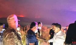 Suriye'deki Orman Yangını Hatay Sınırlarına Dayandı