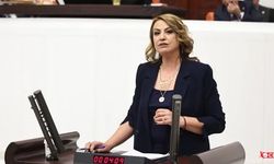 CHP'li Kara: “815 Araçlık Hava Filosu Kurulabilirdi”