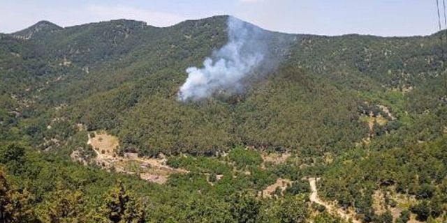 İskenderun'da orman yangını kontrol altına alındı