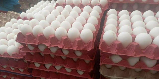 TÜİK: Temmuzda Yumurta Üretimi Yüzde 6,2 Arttı