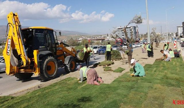 HBB: Refüjde 193 Zeytin Ve 37 Gülibrişim Ağacı Dikildi