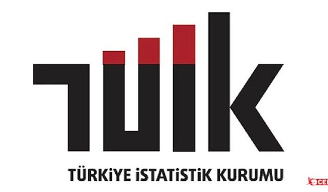 TÜİK'e Göre Yıllık Enflasyon Yüzde 47,09 Oldu