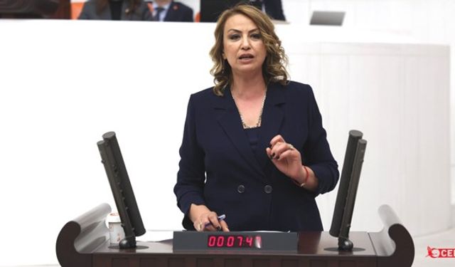 CHP'li Kara: İklim Kanunu Teklifi, Şirketlerin Kârına Hizmet Ediyor