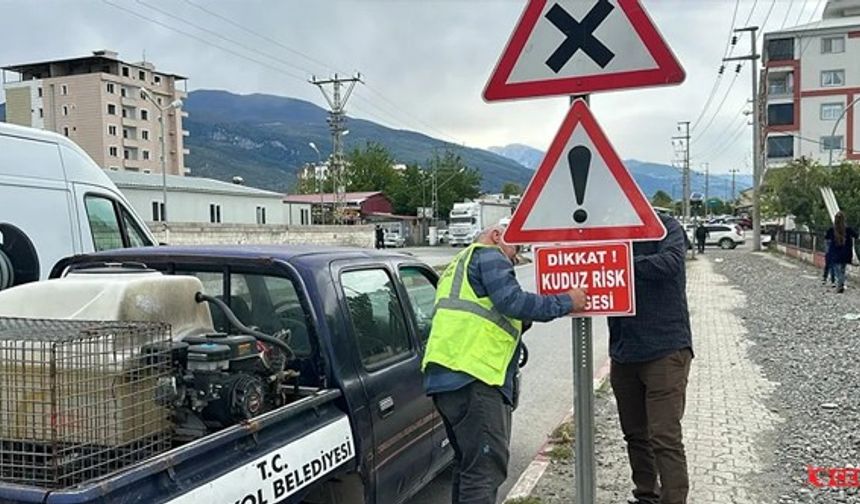 Dörtyol'da Bir Mahalle Kuduz Nedeniyle Karantinaya Alındı