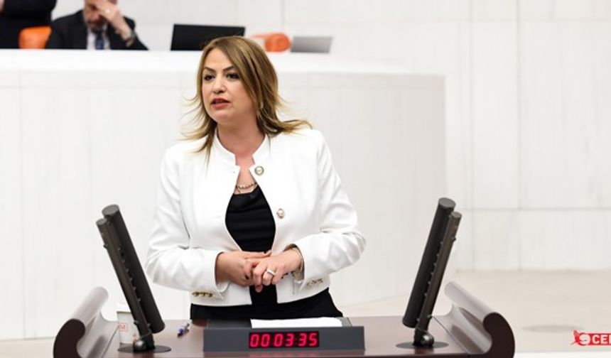 CHP'li Kara: Çiftçiye Şartsız Destek Verilmeli