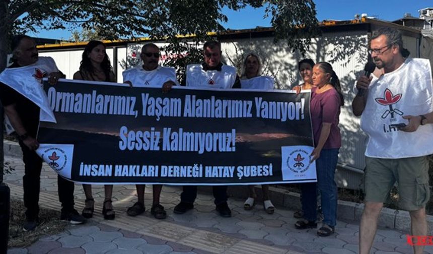 İHD: Antakya'daki Orman Yangınına Müdahale Gecikti, Kamusal Sorumluluk Yerine Getirilmedi