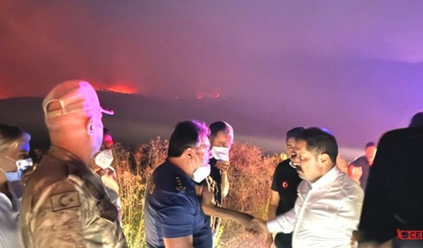 Suriye'deki Orman Yangını Hatay Sınırlarına Dayandı
